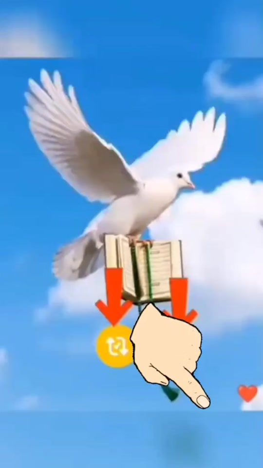 TikTok video thumbnail by rana161916