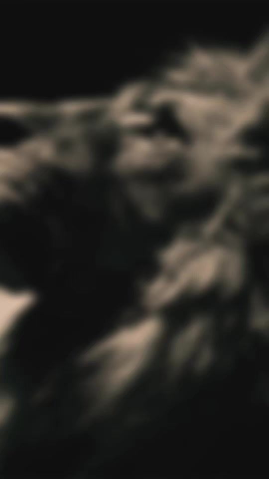 TikTok video thumbnail by jiimy_luna