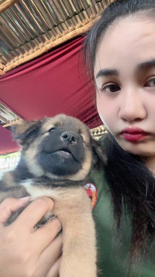TikTok video thumbnail by ammala977