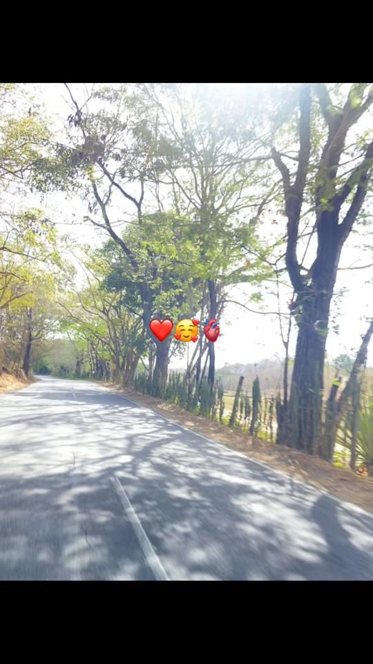 TikTok video thumbnail by detoditooo4