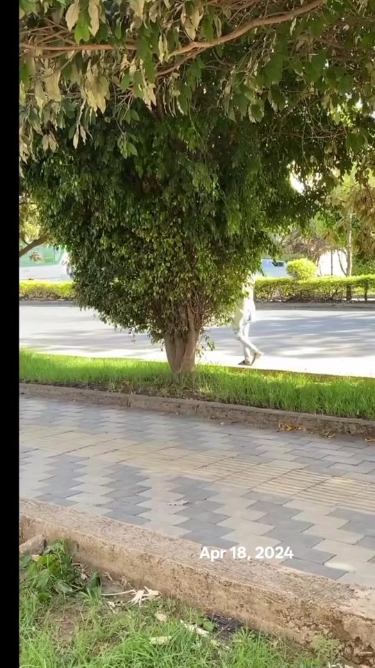 TikTok video thumbnail by eda19tkd