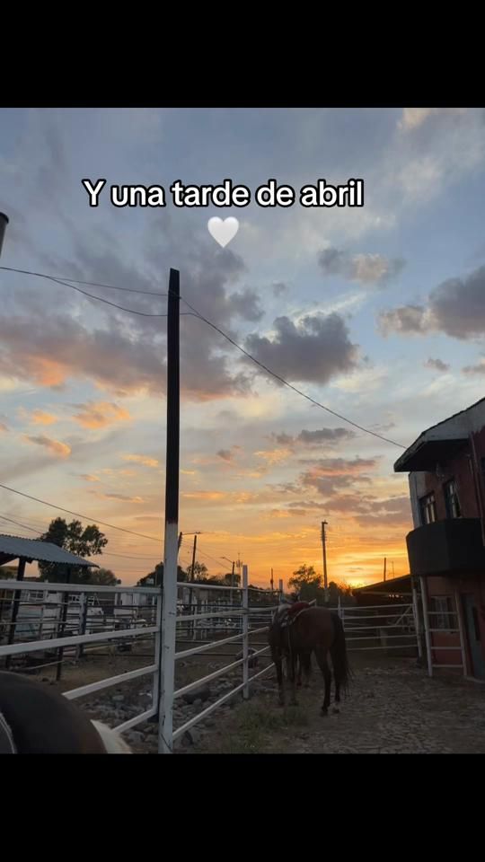 TikTok video thumbnail by michelle_dff