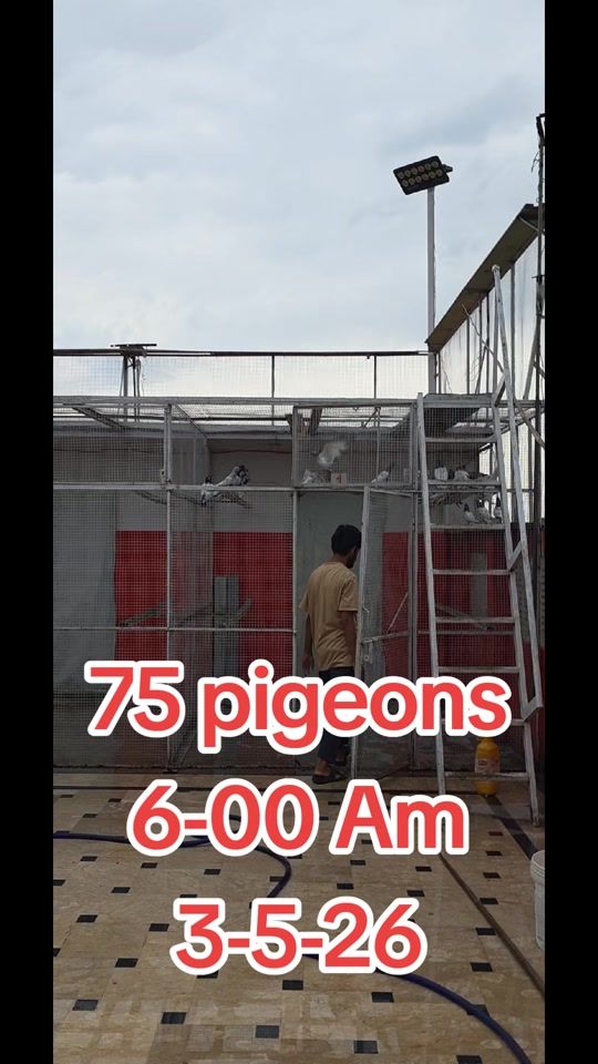 TikTok video thumbnail by ustad814