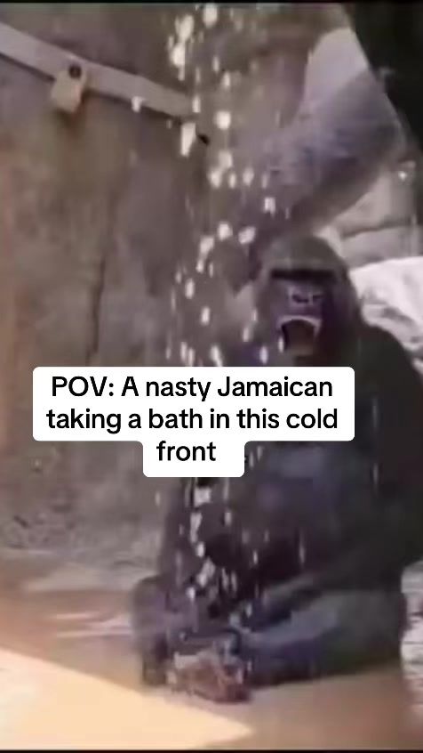 TikTok video thumbnail by 1_johnjohn