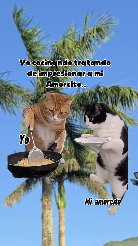 TikTok video thumbnail by bur_liz38
