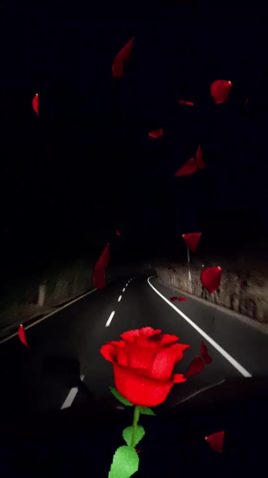 TikTok video thumbnail by job...0