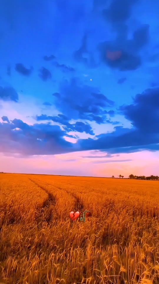 TikTok video thumbnail by z_n_196