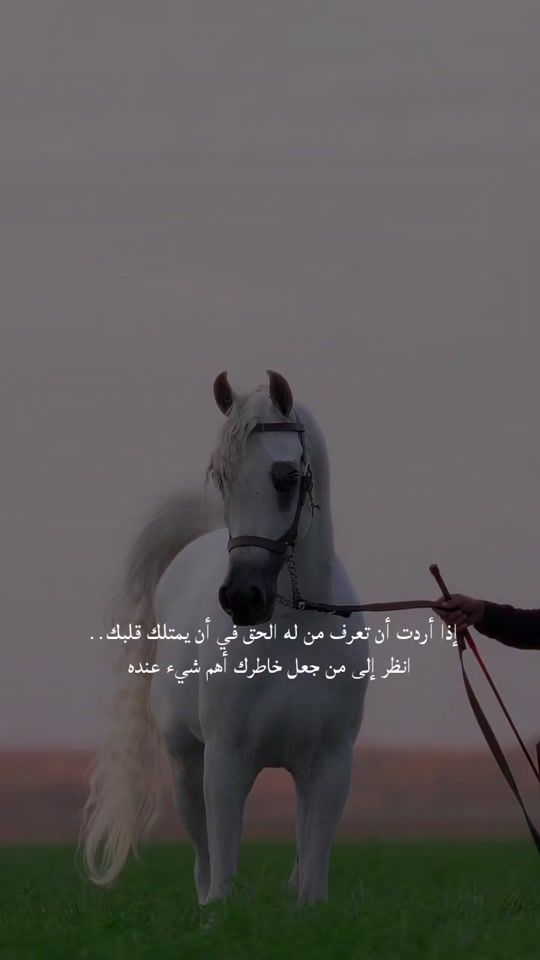 TikTok video thumbnail by muhammad_1.33