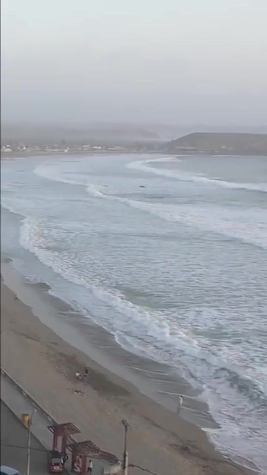 TikTok video thumbnail by musica_peruana_2