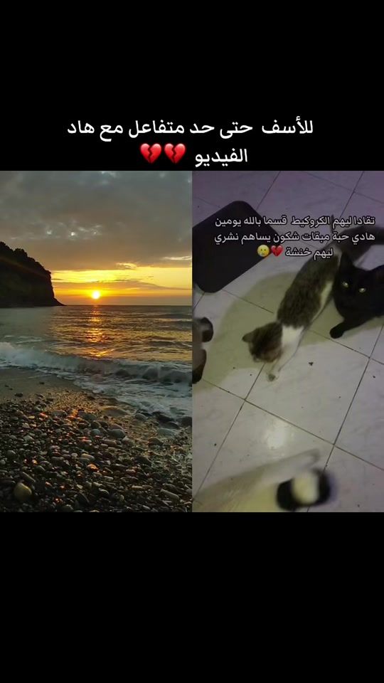 TikTok video thumbnail by soukicat54