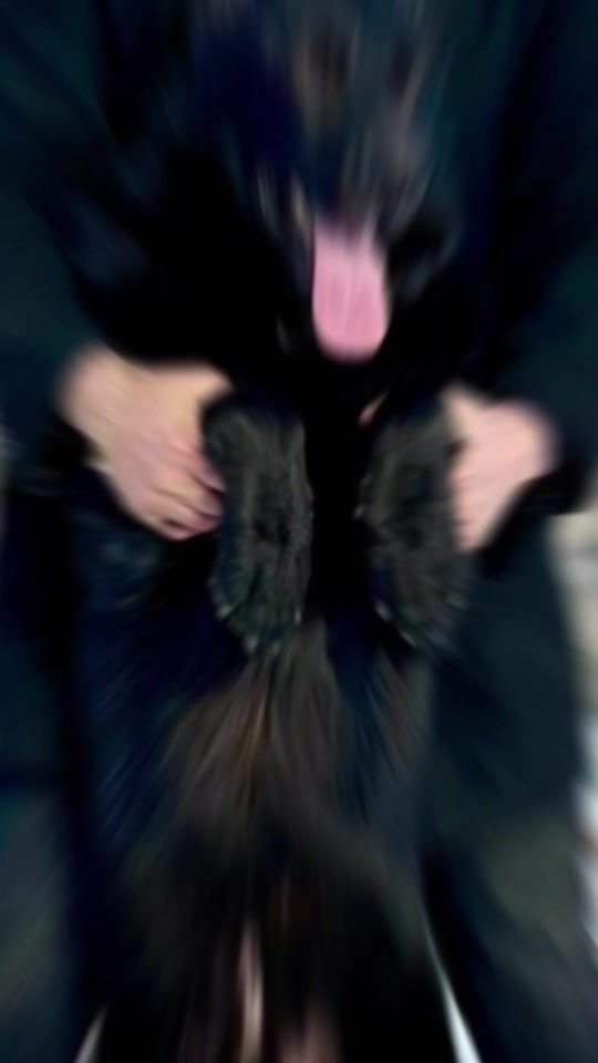 TikTok video thumbnail by daoumichel