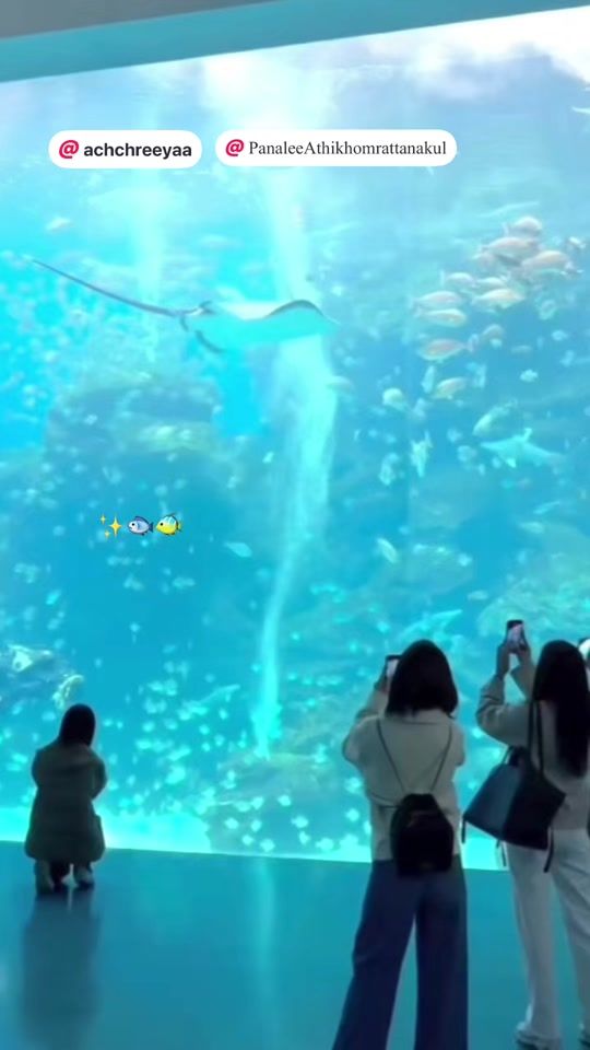 TikTok video thumbnail by lilllllyx