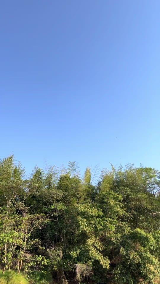 TikTok video thumbnail by draketurok