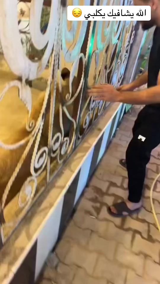 TikTok video thumbnail by s9999aa