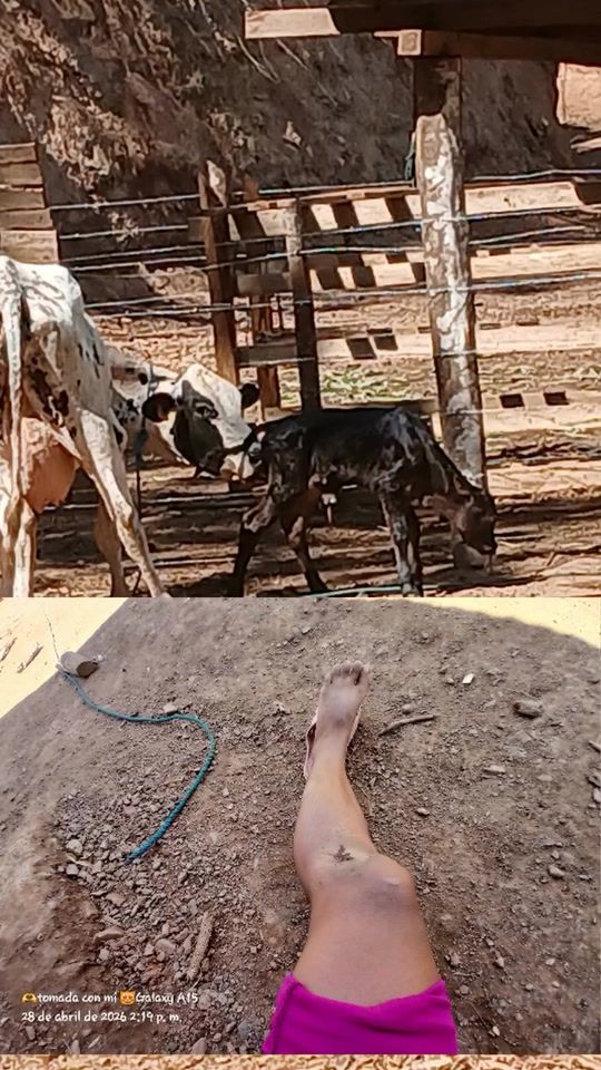 TikTok video thumbnail by reynaramirez5309