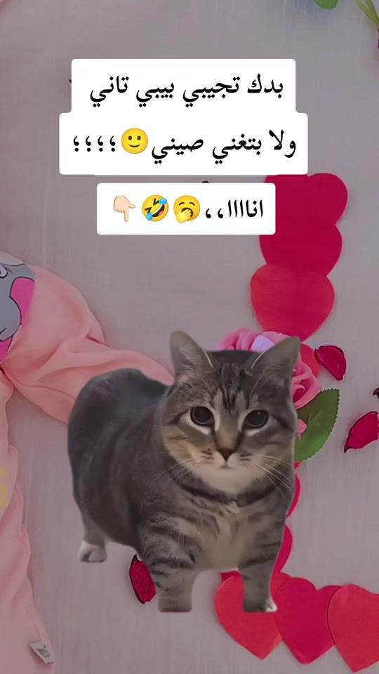 TikTok video thumbnail by hamud731