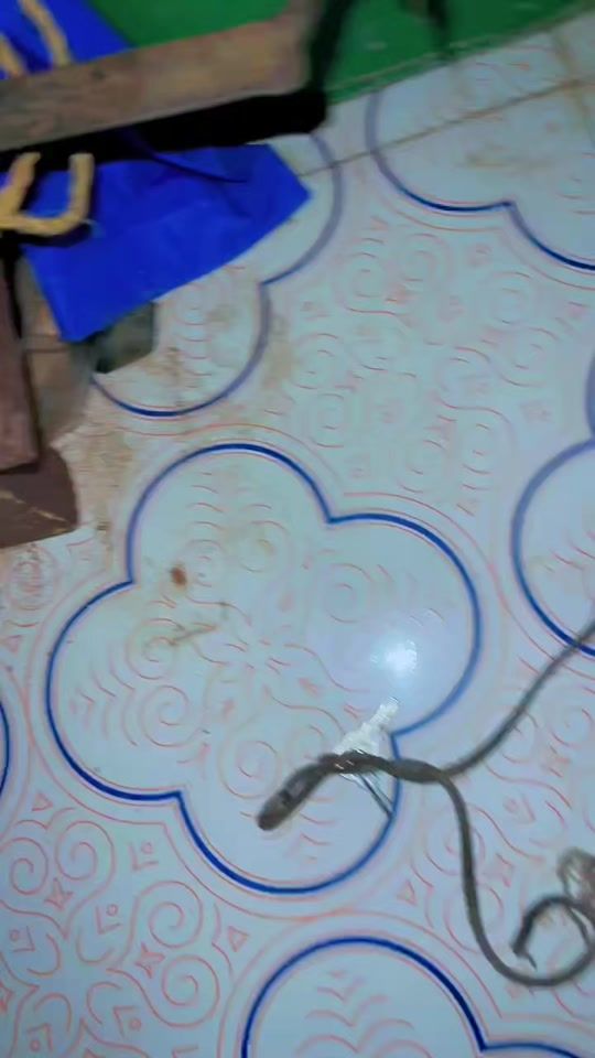TikTok video thumbnail by caanka_burco0