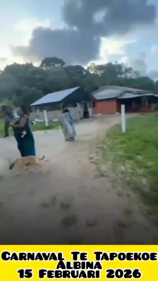 TikTok video thumbnail by albinatoday