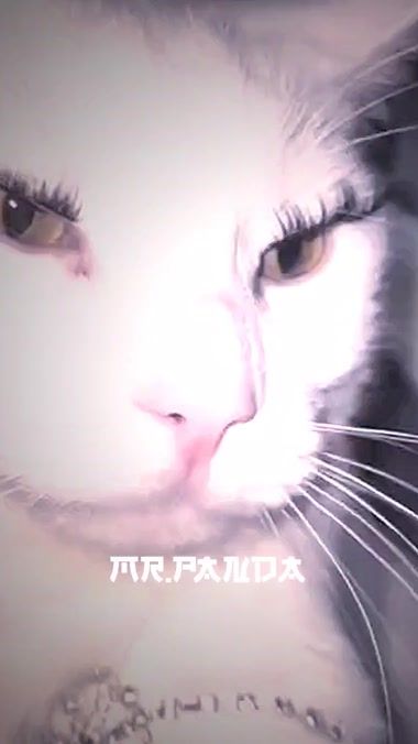 TikTok video thumbnail by p.a.n.d.a.0.0.0