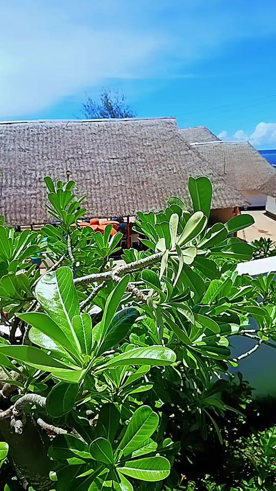 TikTok video thumbnail by lucyomondi5