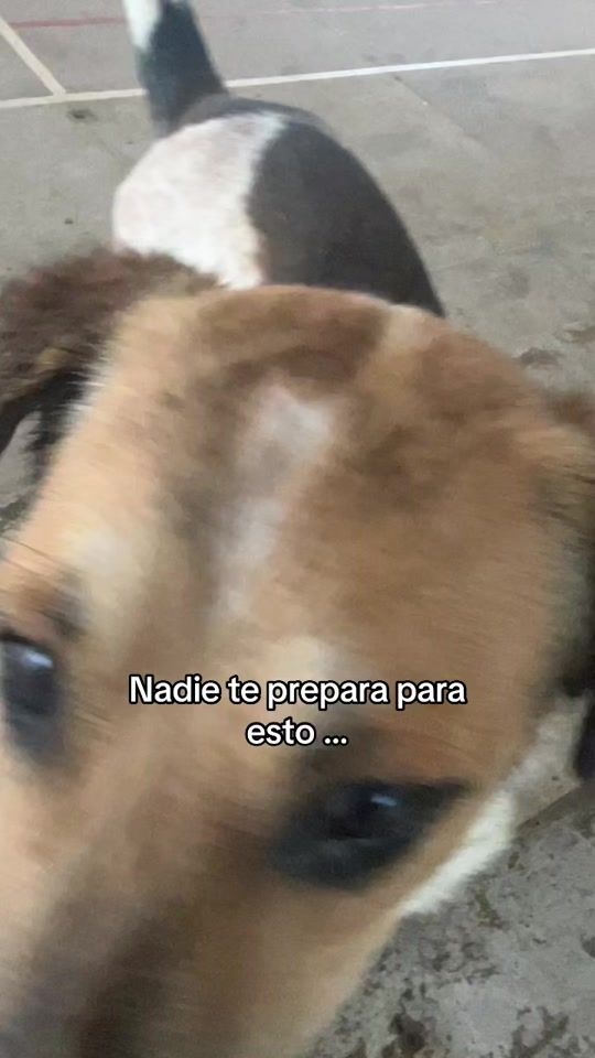 TikTok video thumbnail by jasbleidy209_