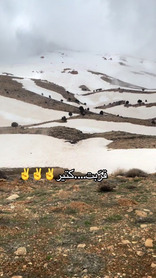 TikTok video thumbnail by houdawadaa