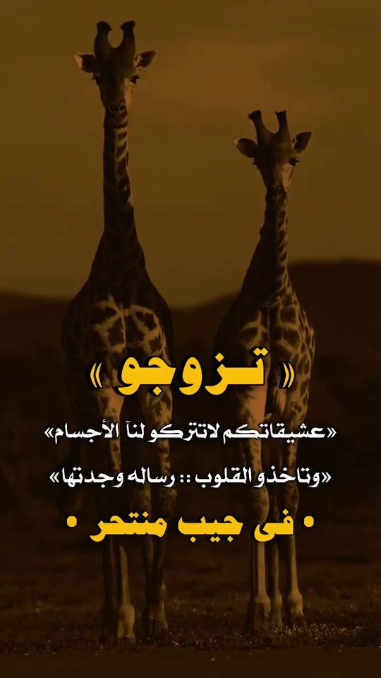 TikTok video thumbnail by 1z_d9