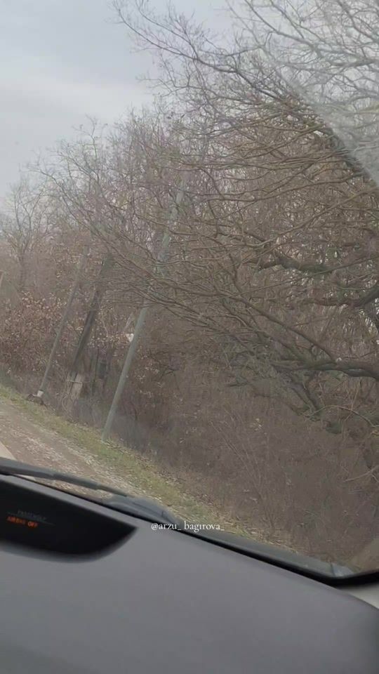 TikTok video thumbnail by arzu_bagirova_
