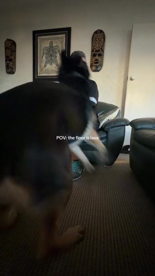 TikTok video thumbnail by miarichfield
