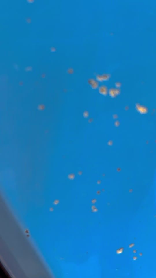 TikTok video thumbnail by alirayed4