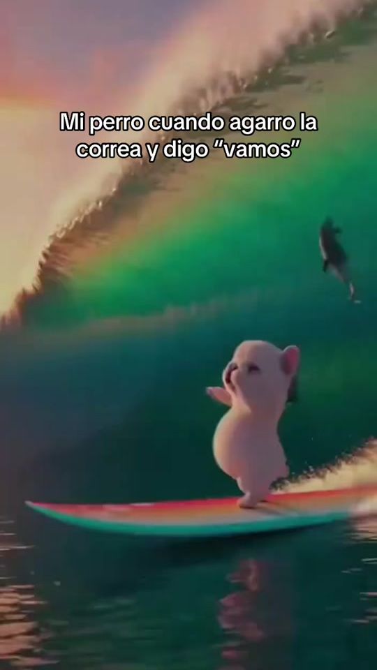 TikTok video thumbnail by laikamascotas