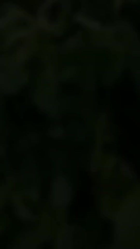 TikTok video thumbnail by __x608