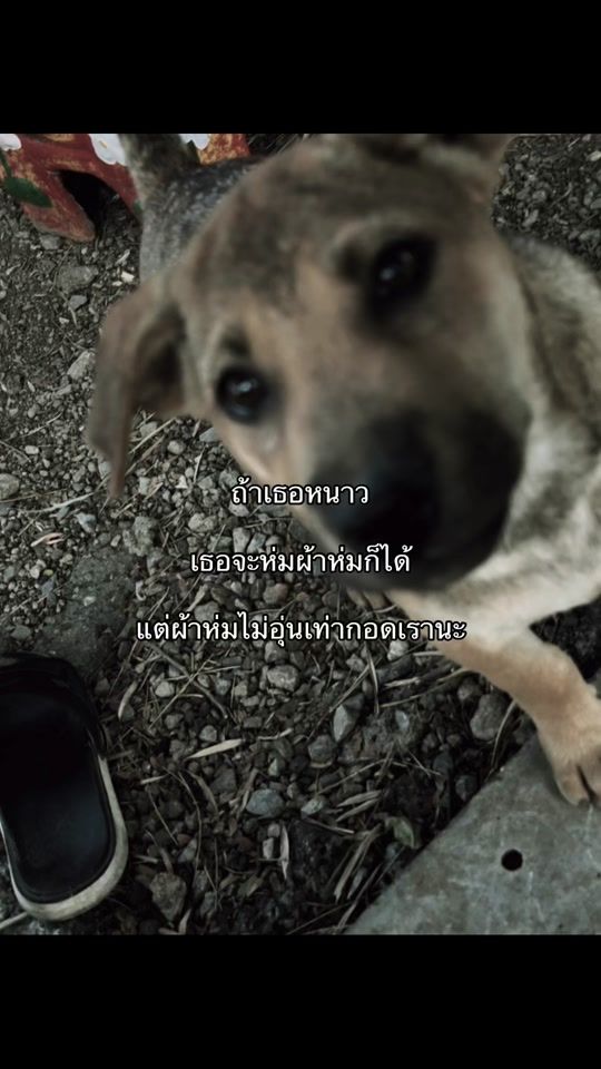 TikTok video thumbnail by ttmmtt99