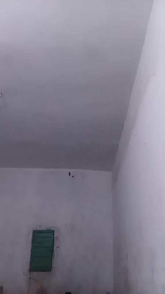 TikTok video thumbnail by babato096