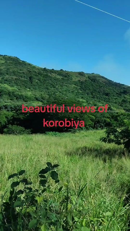 TikTok video thumbnail by user619140081097