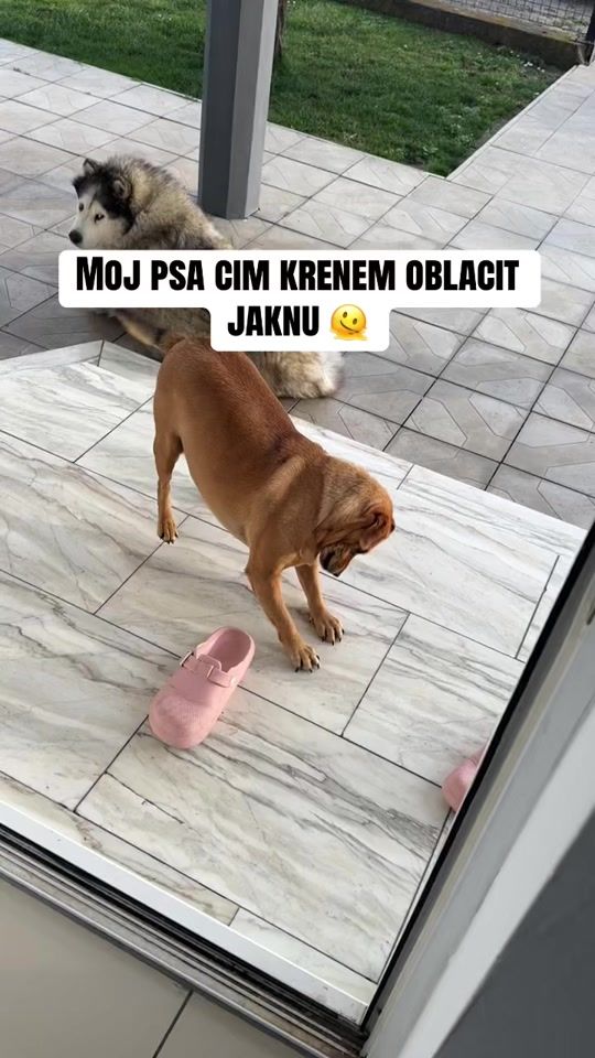 TikTok video thumbnail by mahmutovicena