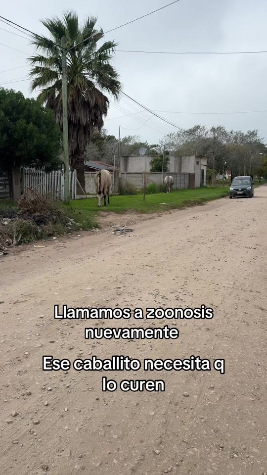 TikTok video thumbnail by bren_palomo_