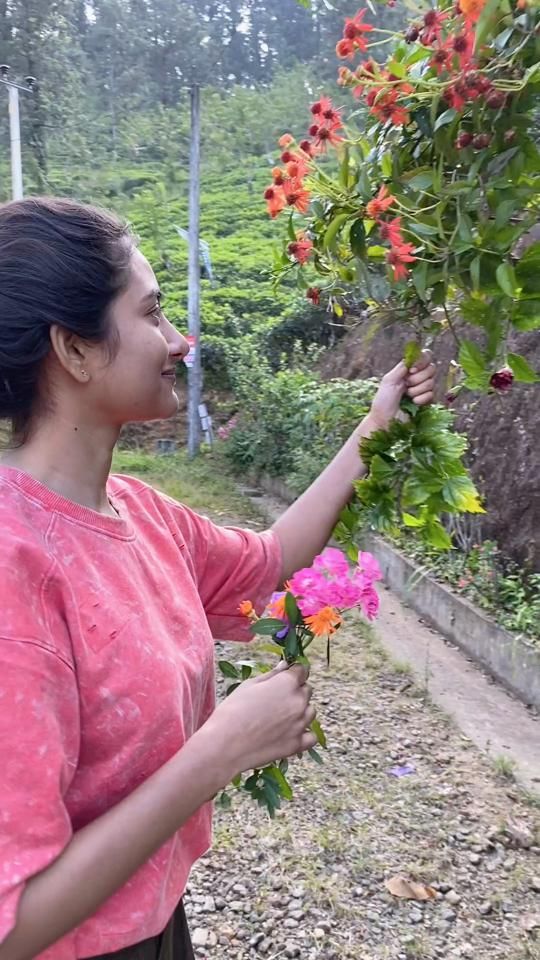 TikTok video thumbnail by dinusha_ravi