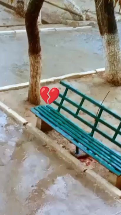 TikTok video thumbnail by ashkim_7