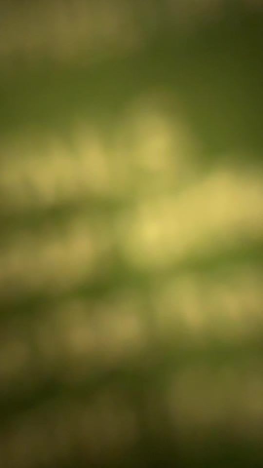 TikTok video thumbnail by _shaline12_