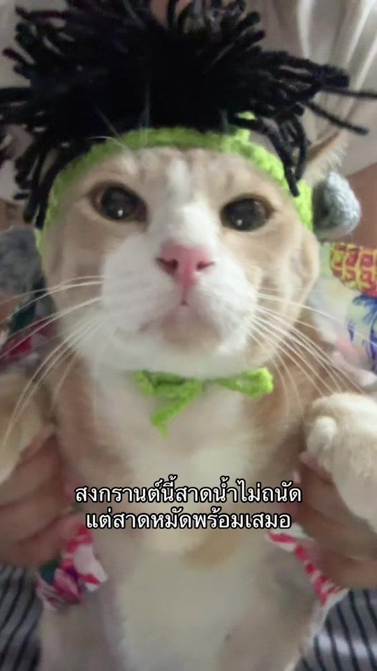 TikTok video thumbnail by anfieldkrabb