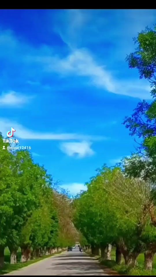 TikTok video thumbnail by nour12416