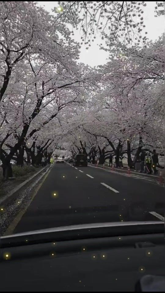 TikTok video thumbnail by hbpy65