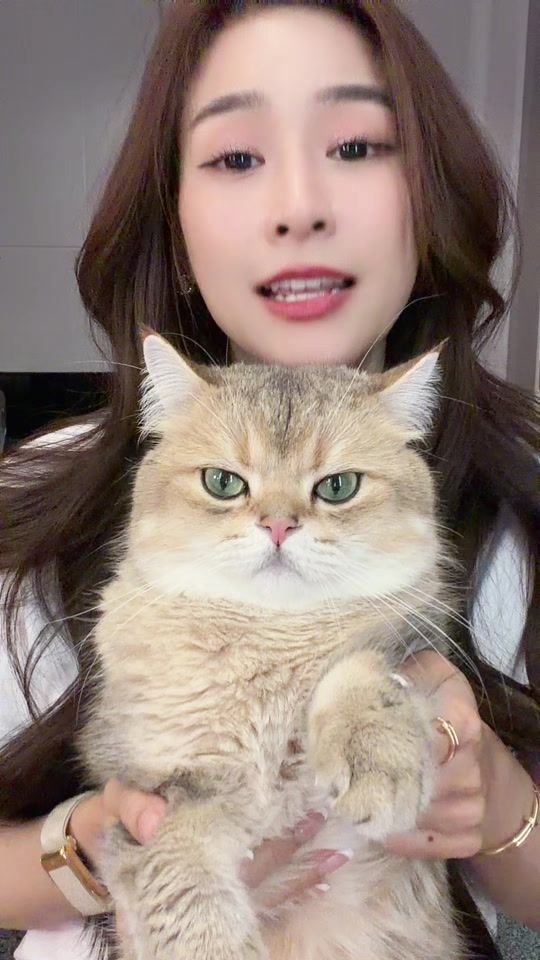 TikTok video thumbnail by porsche_paycho