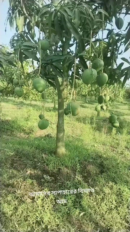 TikTok video thumbnail by princepiya663