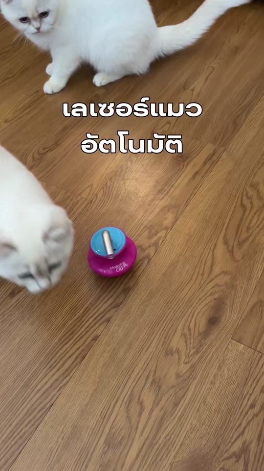 TikTok video thumbnail by silversnowcattery