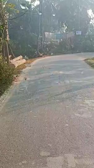 TikTok video thumbnail by mdsipon1508
