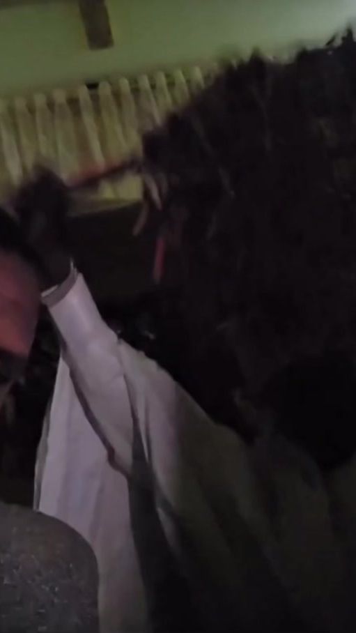 TikTok video thumbnail by tchowodimi1