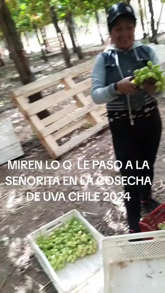 TikTok video thumbnail by fernandocontrer195
