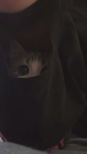 TikTok video thumbnail by ssleeeppzz